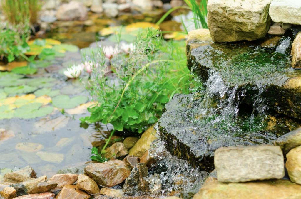 Grüne Oase im Garten